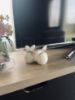 Picture of Bunny Duo